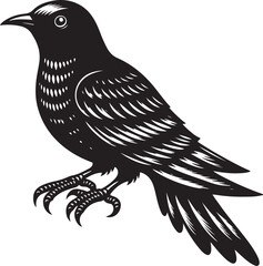 Color and silhouette tropical bird image vector illustration