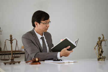 Lawyer Reviewing Case Files