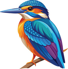 Fototapeta premium Color Kingfisher bird vector illustration, solid white background