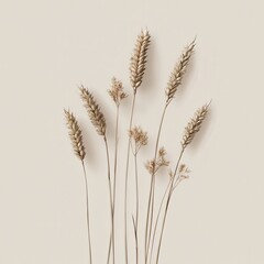 Minimalist Still Life Photography of Dried Wheat and Grass on a Beige Background.
