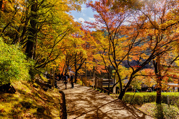 愛知県　香嵐渓の紅葉
