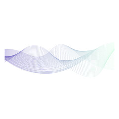 spectrum gradient line wave on white background, vector illustration.