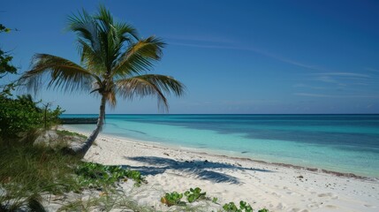 Fototapeta premium Tranquil beach scene with clear turquoise waters, soft white sandy shore, and a palm tree swaying in the gentle breeze.