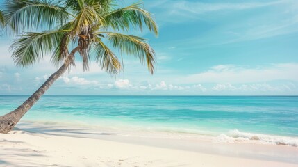 Obraz premium A serene beach with beautiful turquoise waters, a white sandy shore, and a palm tree gracefully swaying in the warm breeze.