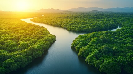 Lush green landscape with a winding river during sunset.