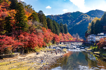 愛知県　香嵐渓の紅葉
