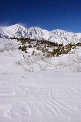 Winter scenery in Hakuba snow resort, Nagano