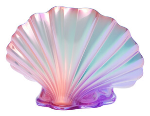 Fototapeta premium PNG Shell white background invertebrate translucent.