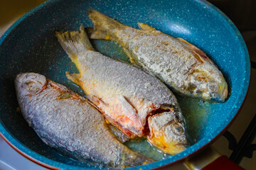 Frying fish in a frying pan. Tasty homemade roasted crucian carp 