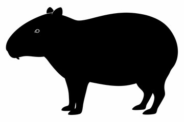 Сapybara Silhouette, Сapybara Animal Vector illustration
