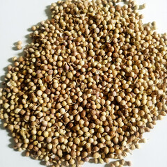 Coriander seeds are isolated on a white background. Pile of dried coriander seeds closeup photography.