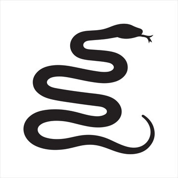 Snake silhouette on white background
