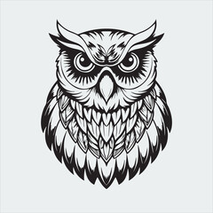Obraz premium Owl vector illustration and art