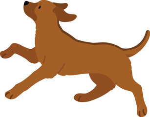Simple and adorable Rhodesian Ridgeback running in side view
