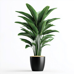 Creative Mind with Abstract Digital Concepts, Symbolizing Social Innovation.