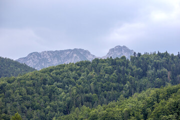 
natural landscape in the mountains with trees