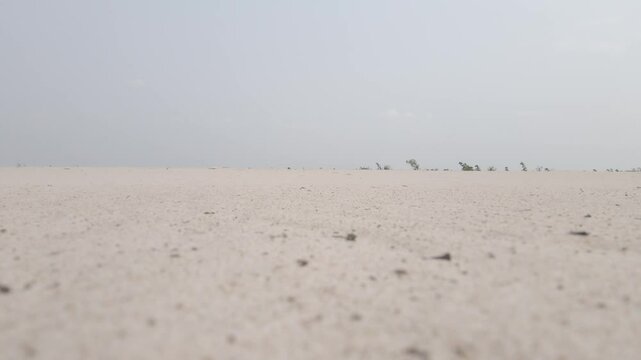 Le vent du sable au Congo