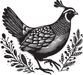 Silhouette and color quail bird vector image