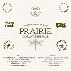 Vector Hand Drawn Font. Slab Serif alphabet with regular and bold weights. Typeface suitable for headlines, logos, packaging, card and poster designs. © archiwiz