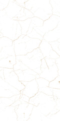 Vector brown cracked surface pattern grunge of a cracked wall.