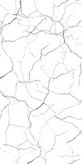 Vector black and white cracked surface pattern grunge of a cracked wall.