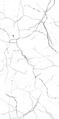 Vector black and white cracked surface pattern grunge of a cracked wall.