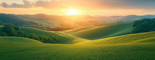 Sunlit Autumn Morning