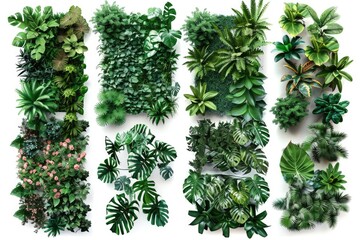 Close-up shot of various plants arranged on a white surface, ideal for still life photography or scientific illustrations