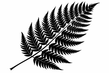 fern leaf silhouette, fern leaf icon vector