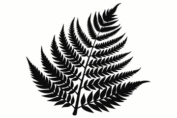 fern leaf silhouette, fern leaf icon vector