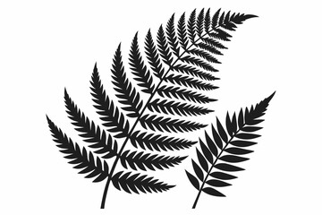 Naklejka premium fern leaf vector, silhouette of a forest fern leaf