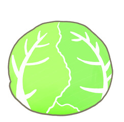 R:もっとメルヘンな野菜☆キャベツ①