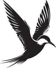 Obraz premium black Arctic Tern silhouette vector illustration, solid white background