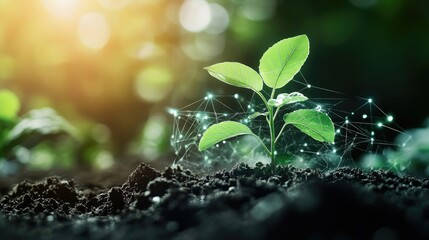 Young plant in soil, surrounded by virtual reality farming interfaces, symbolizing agricultural technology advancements.
