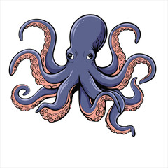 octopus illustration and animal vector, 