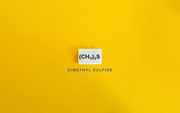 Dimethyl Sulfide, (CH₃)₂S. Chemical Compound Containing Sulphur. Chemical Formula and Name. 