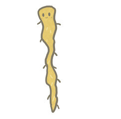 R:もっとメルヘンな野菜 自然薯②