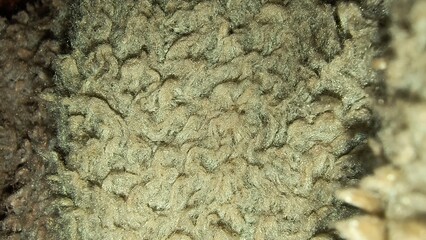 The image shows a close-up view of a textured surface that appears to be made of fibrous material. The texture is irregular, with a pattern resembling swirls or waves. The color is predominantly