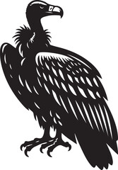 Fototapeta premium Black and color image of eagle, 