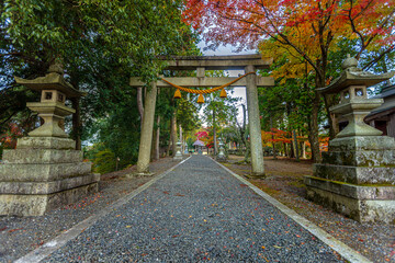 滋賀県　鶏足寺の紅葉　
