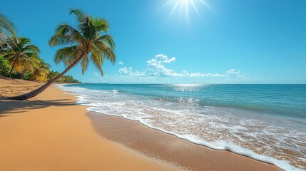 Sunny Days by the Sea with Palm Trees