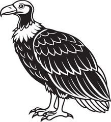 Obraz premium Black and color image of eagle, 