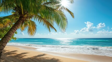 Sunny Days by the Sea with Palm Trees
