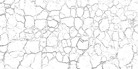 a black and white grunge texture of a cracked wall, cracked concrete of grunge texture background with cracks, a white textured background with a white texture and a black grunge effect,