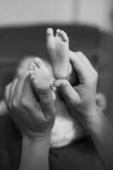 Fototapeta premium feet of the child and mother. newborn baby. the concept of motherhood