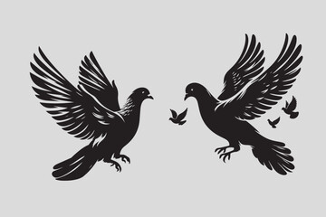 Pigeon vector illustration and bird art