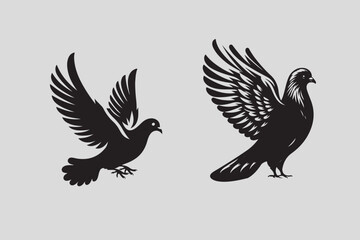 Pigeon vector illustration and bird art