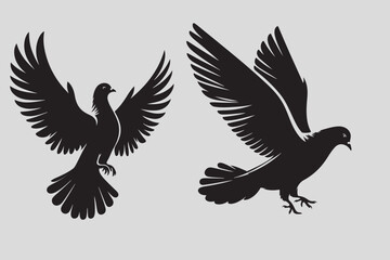 Pigeon vector illustration and bird art