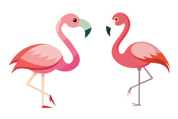 pink flamingo on white background