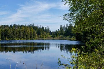 Etang de la Gruère dans les Franches-Montagnes en Suisse